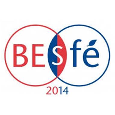 Retours sur le colloque BES-SFE de Lille: le mot du président de la SFE