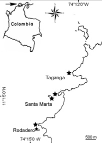 Figure 2. Localisation des sites d’échantillonnage dans la Baie de Santa Marta, au nord de la Colombie.