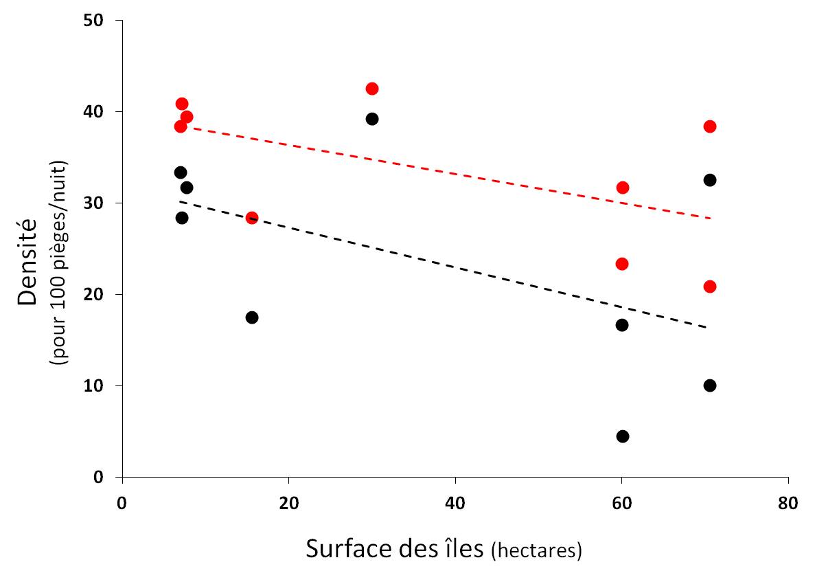 Figure 3. Relations (tendance non significative) entre la surface des îles et la densité globale des espèces de micromammifères (en rouge, r² = 0.32 ; P = 0.067) ainsi qu'avec la densité de Campagnols à dos roux de Gapper (en noir, r² = 0.27 ; P = 0.066)