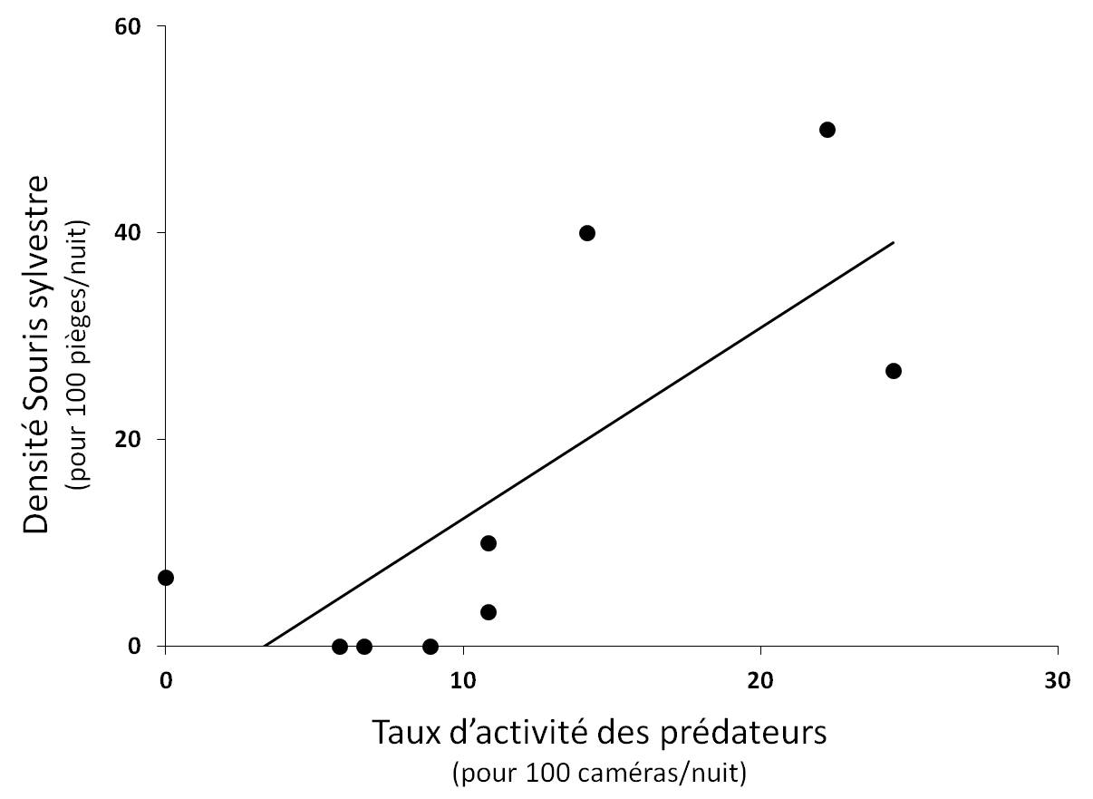 Figure 4. Relation significative entre la densité de Souris sylvestre et le taux d'activité des prédateurs (r² = 0.57 ; P < 0.05).