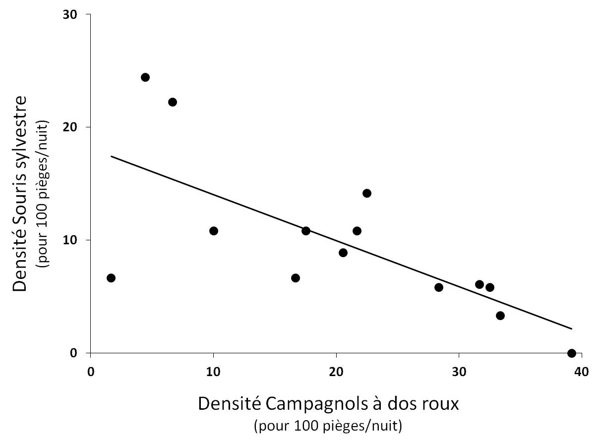 Figure 5. Relation significative entre la densité de Souris sylvestre et la densité de Campagnols à dos roux de Gapper (r² = 0.50 ; P < 0.001).