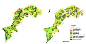 Figure 2 : Exemple de paysage raster (à gauche) et vectoriel (à droite). Ce paysage est un village agroforestier, Kotolli, dans le sud de l’Inde (Gaucherel et al. 2016). Le paysage raster est le résultat de l’observation du village en 2011, tandis que le paysage vectoriel est le résultat en 2010 d’une simulation avec la plateforme de modélisation DYPAL.