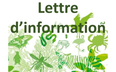 Lettre d’information #2