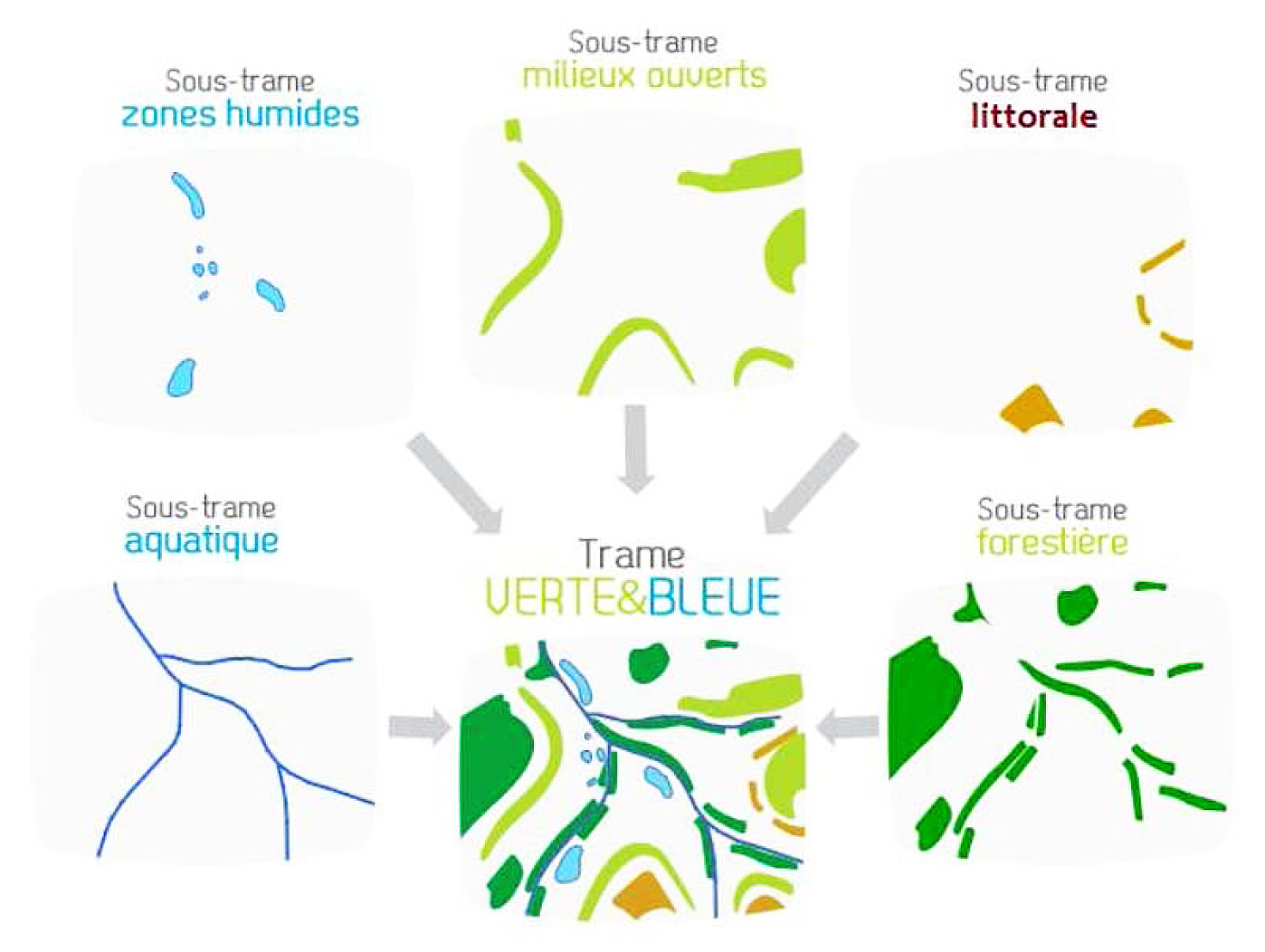 R72 : Trame Verte, Trame Bleue Et Autres Trames, Par Romain Sordello ...