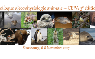 3ème Congrès d’EcoPhysiologie Animale (CEPA III), Novembre 2017, Strasbourg