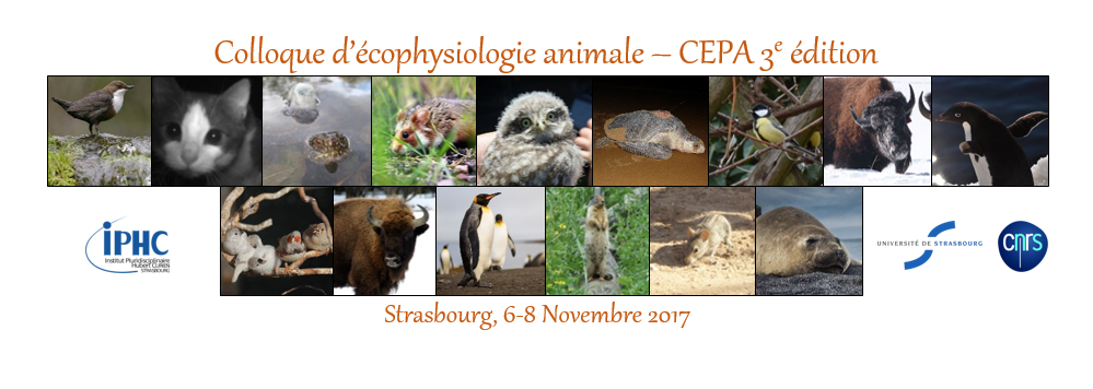 3ème Congrès d’EcoPhysiologie Animale (CEPA III), Novembre 2017, Strasbourg