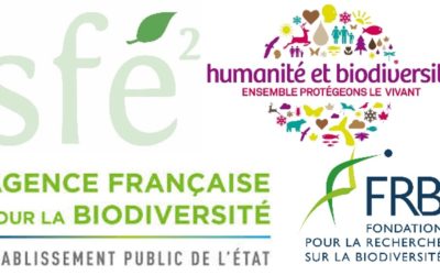 Bourse SFE²-H&B-AFB-FRB Ecologie impliquée : appel à candidatures