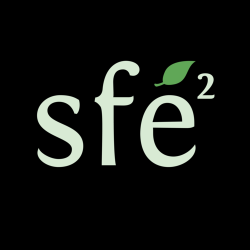 Call for names for the 2018 SFE2 Prize – deadline June 1st