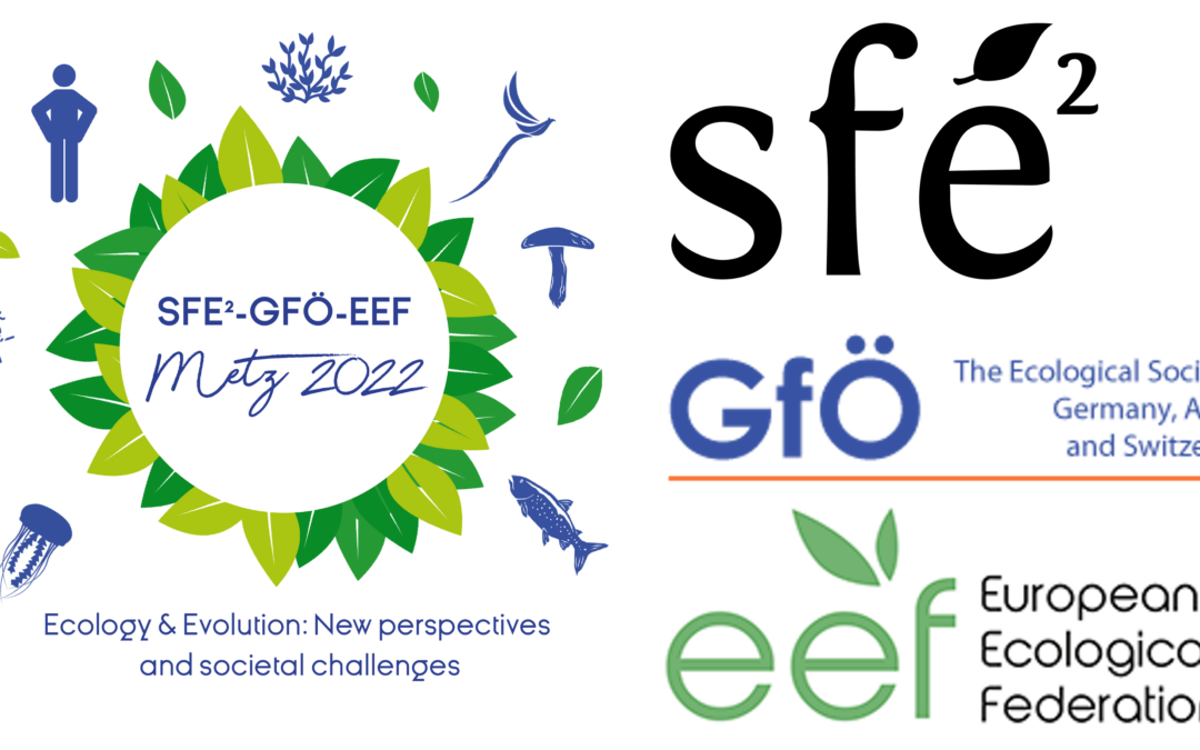 [Positioning] Motion of the SFE2-GfÖ-EEF on the emergency for action