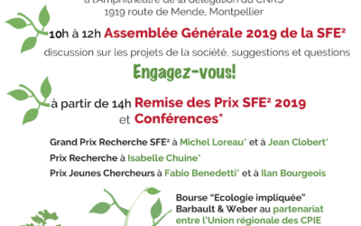 Retour sur l’AG SFE² 2020 en images
