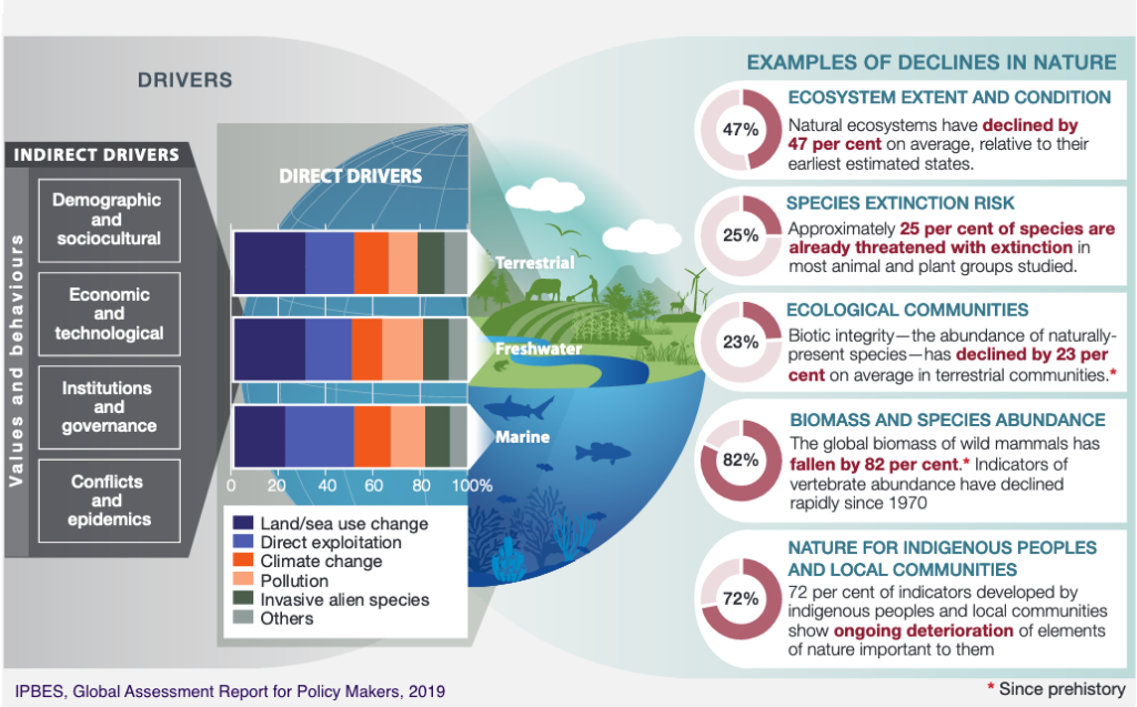 Sustainability, Tackling Climate Change and Biodiversity