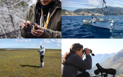 Plaidoyer pour une reprise des suivis de terrain en écologie scientifique