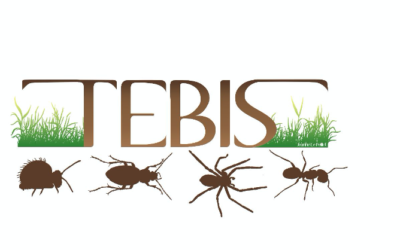 Journées TEBIS – 5-7 oct – programme détaillé et liens de connexion
