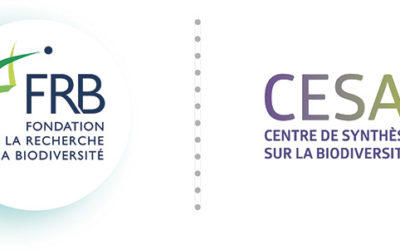 [Appel à projets FRB-Cesab 2020] – Ouverture 12/10