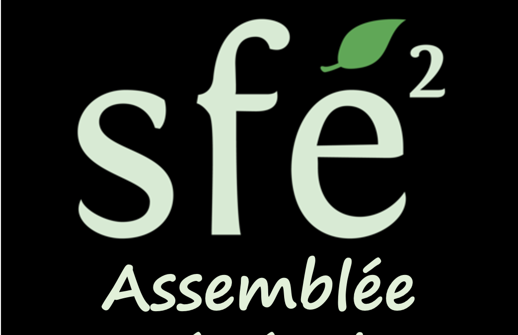 SFE² Assemblée Générale – le 21 et le 22 février 2023 à Lyon