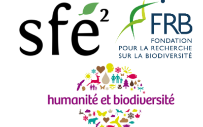 [Appel] Bourse SFE²-H&B-FRB Ecologie impliquée 2024 – 30/11