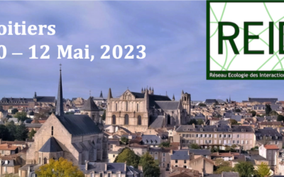 [Save the date] Pré-inscriptions rencontres du REID, 10-12 Mai