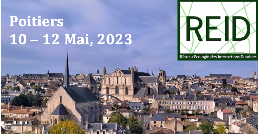 [Save the date] Pré-inscriptions rencontres du REID, 10-12 Mai