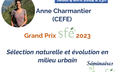 Séminaire SFE² : Anne Charmantier Grand Prix 2023 le 4 avril 2024 13h