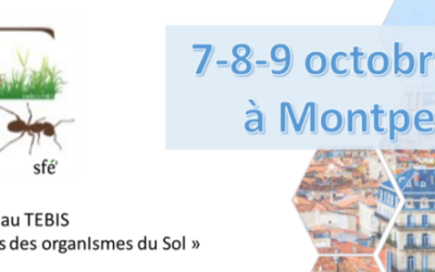 [GT] 12èmes journées TEBIS, Oct 2024 – Montpellier