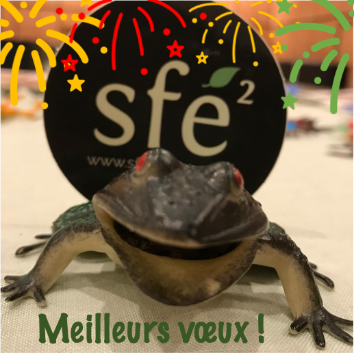 Bonne année 2025 !