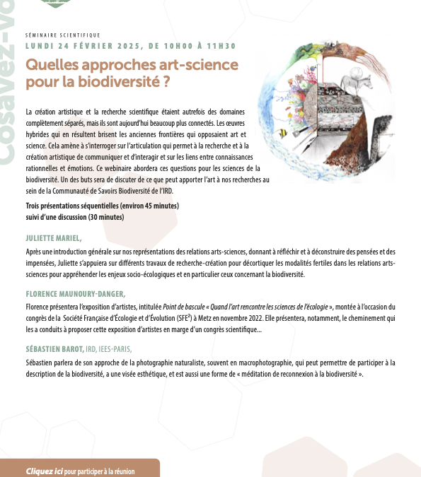 [GT Arts & Sciences] Webinaire 28/01, 12h-13h30 : Emmiellez-moi