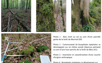 Bourse Terrain 2024 : Fabien Spicher