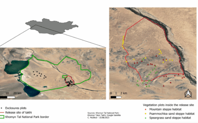 Bourse Terrain 2023 : Clémentine Mutillod