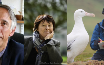 [Grand Prix SFE²] Lauréats 2026 – Didier Gascuel, Frédérique Viard et Henri Weimerskirch