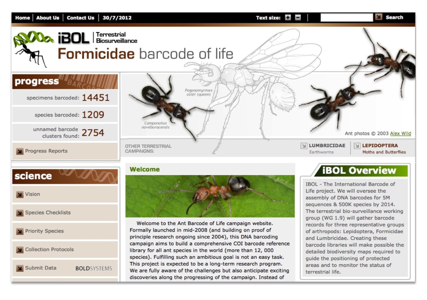Figure 4. Le site web « Formicidae Barcode of Life » présente l’avancée et les principaux résultats de la campagne de barcoding ADN des fourmis du Monde (http://www.formicidaebol.org/).